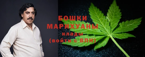 mdpv Богданович