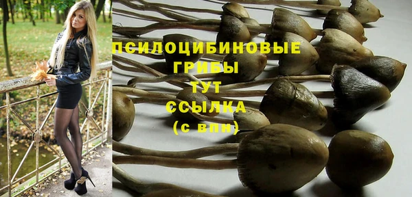 mix Богородск