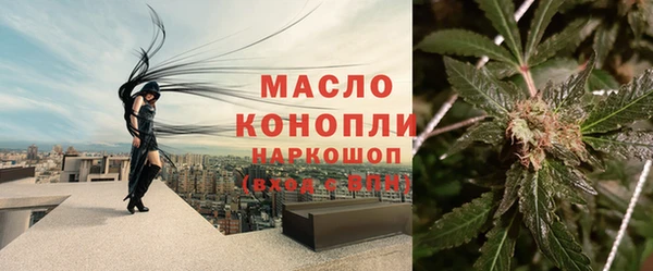 mix Богородск